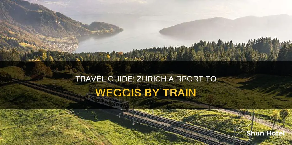 how train zurich airport to weggis