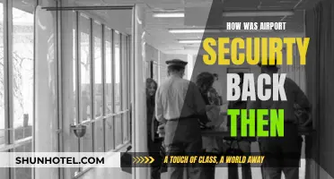 Airport Security: Past, Present, and Future
