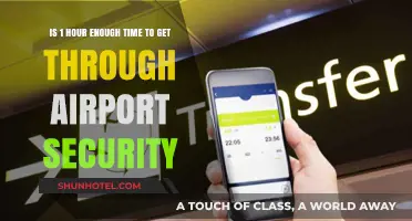 One Hour at Airport Security: Is It Sufficient Time?