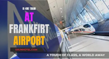 Navigating Frankfurt Airport: Train Access and Convenience
