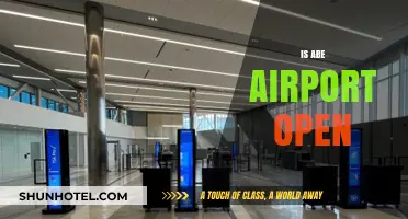 Is Abe Airport Open? Current Status and Operational Updates