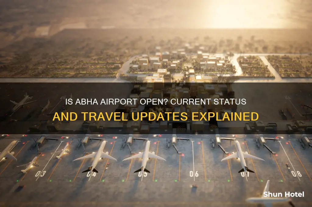 is abha airport open