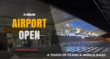 Is Abidjan Airport Open? Current Status and Travel Updates