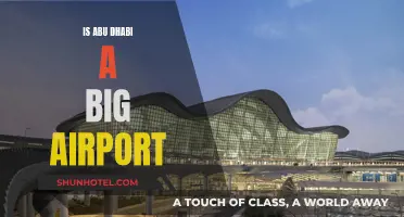 Abu Dhabi International Airport: A Global Aviation Hub?