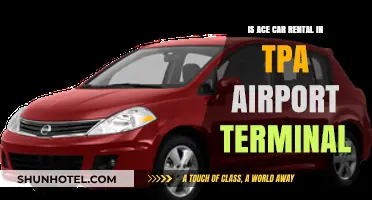 Exploring Ace Car Rental's Presence at TPA Airport Terminal