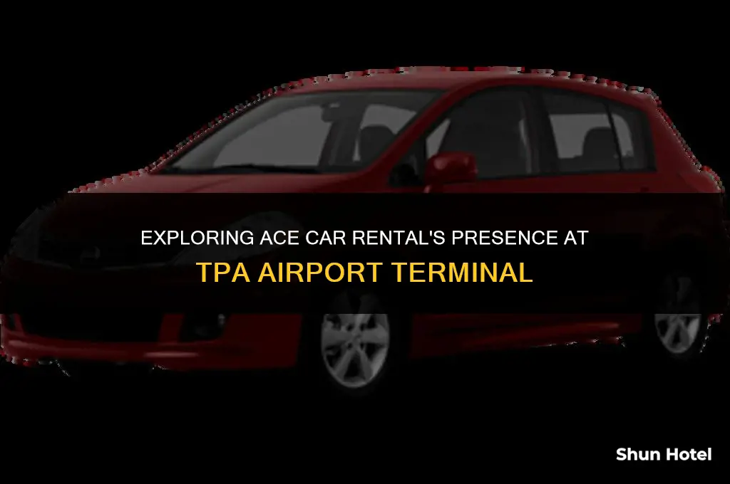 is ace car rental in tpa airport terminal