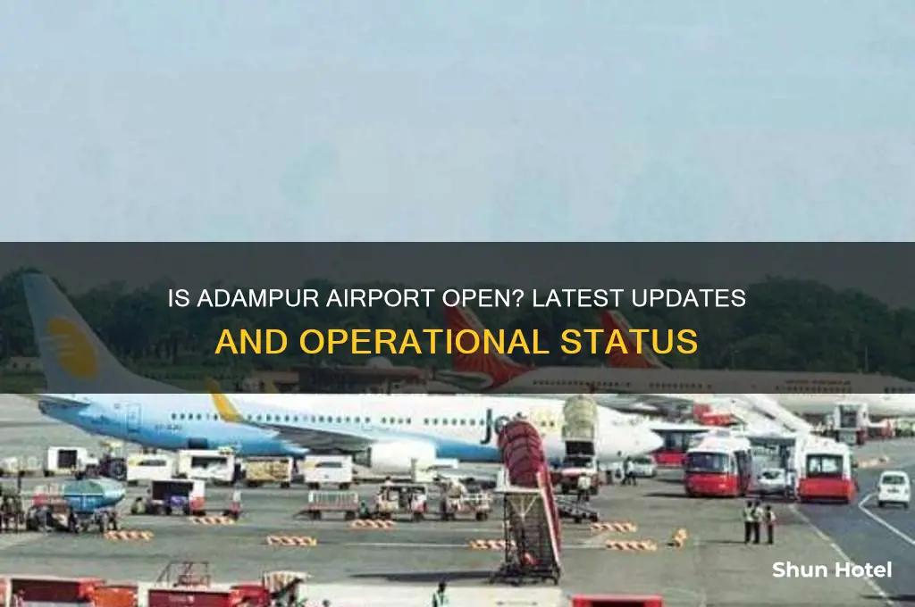is adampur airport open