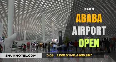 Is Addis Ababa Airport Open? Current Status and Travel Updates