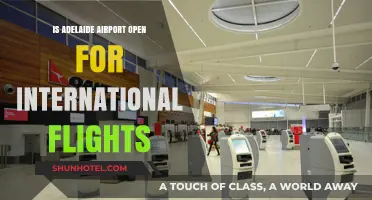 Adelaide Airport's International Flight Status: What Travelers Need to Know