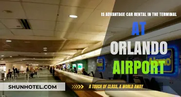 Advantage Car Rental at Orlando Airport Terminal: Convenience or Cost?