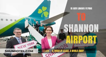 Aer Lingus Shannon Airport Flights: Current Routes and Schedules Explained