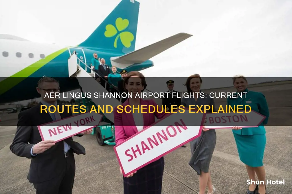 is aer lingus flying to shannon airport