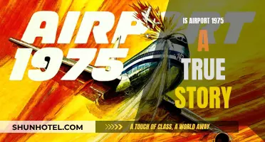 Airport 1975: True Story or Hollywood Fiction?