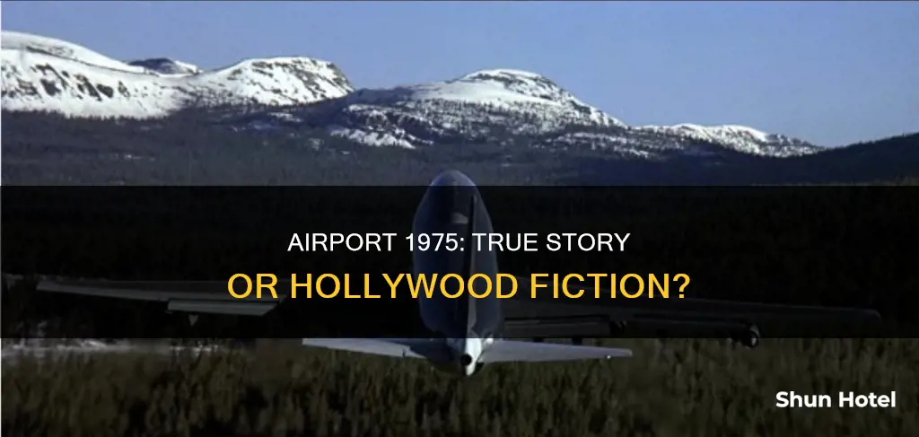 is airport 1975 a true story
