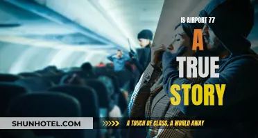 Airport 77: Fact or Fiction?