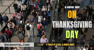 Thanksgiving Travel Rush: Airports Packed on Turkey Day