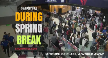 Spring Break Rush: Are Airports Packed?