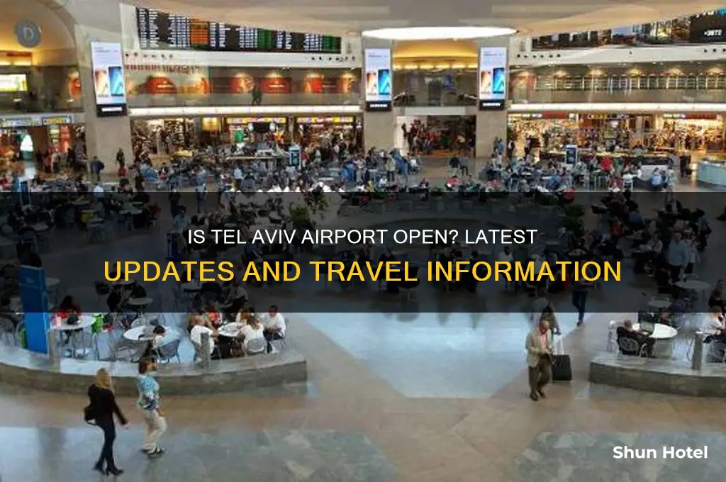 is airport in tel aviv open