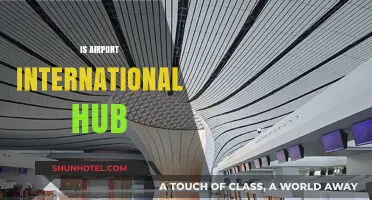 Exploring the Role of Airports as Global International Travel Hubs