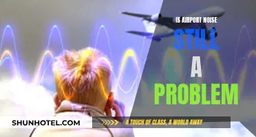 Airport Noise: Persistent Problem or Resolved Issue?