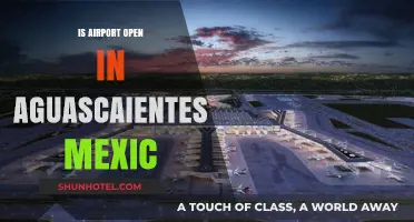Is Aguascalientes Airport Open? Current Status and Travel Updates
