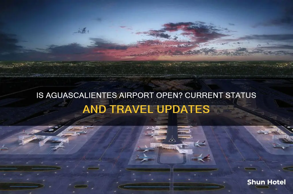 is airport open in aguascaientes mexic