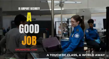Airport Security: A Dream Job or a Nightmare?