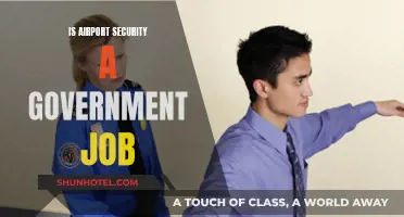 Airport Security: Government Job or Private Contract?