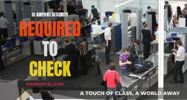 Airport Security Checks: Are They Necessary?