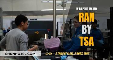 TSA and Airport Security: Who's in Charge?