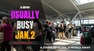 Airports Buzzing in January: Why the Rush?