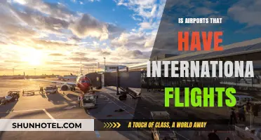 Exploring Airports with International Flights: A Global Travel Hub Guide