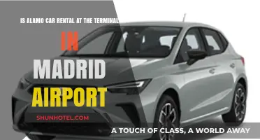 Navigating Madrid Airport: Alamo Car Rental Terminal Insights
