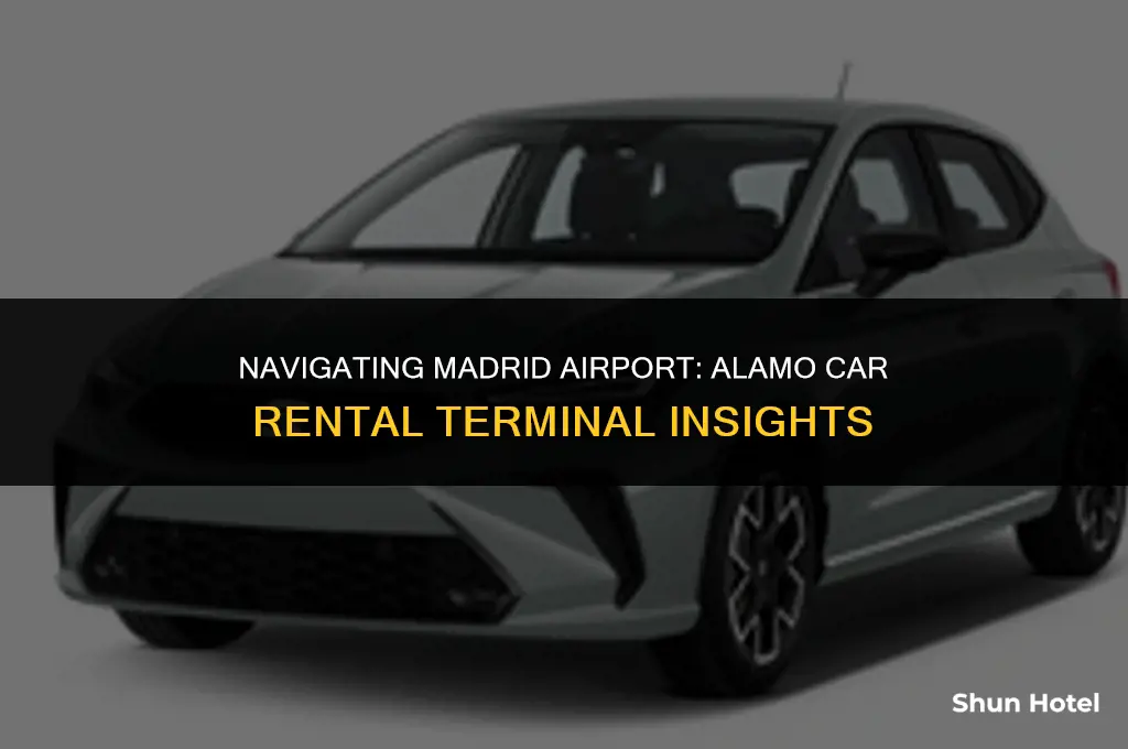 is alamo car rental at the terminal in madrid airport