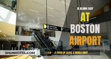 Alamo Rental Cars: Boston Airport's Easiest Option?