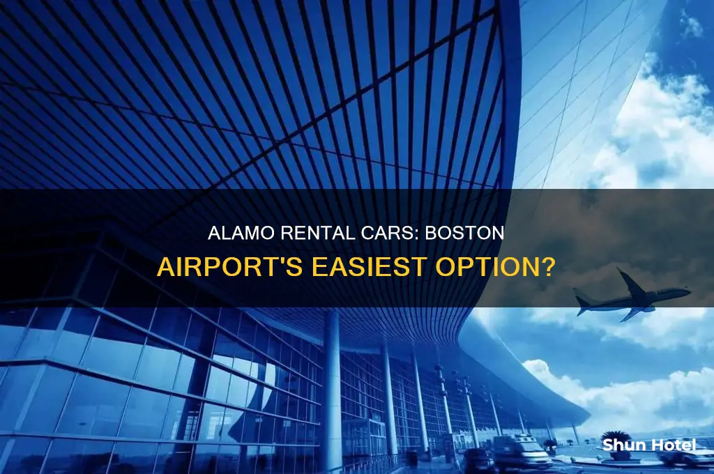 is alamo easy at boston airport