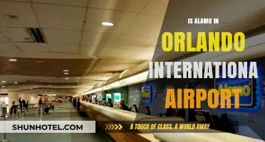 Is Alamo Car Rental Available at Orlando International Airport?