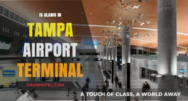 Exploring Tampa Airport: Is Alamo Car Rental Conveniently Located?