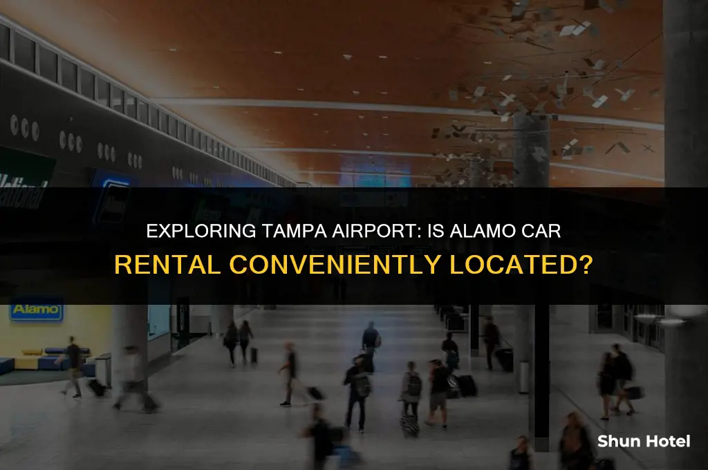 is alamo in tampa airport terminal