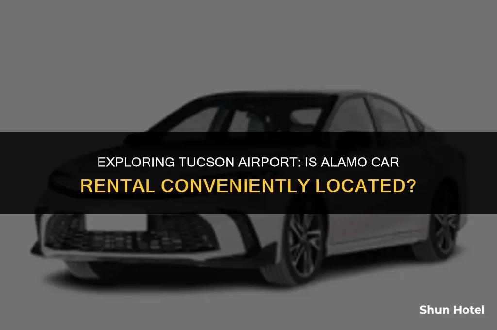 is alamo in terminal at tucson airport