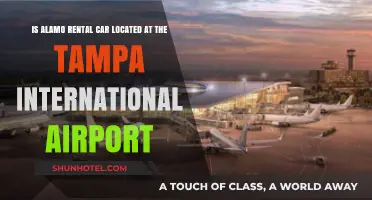 Alamo Rental Car at Tampa International Airport: Location Guide