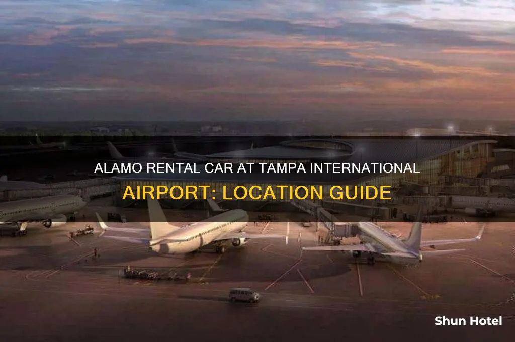 is alamo rental car located at the tampa international airport