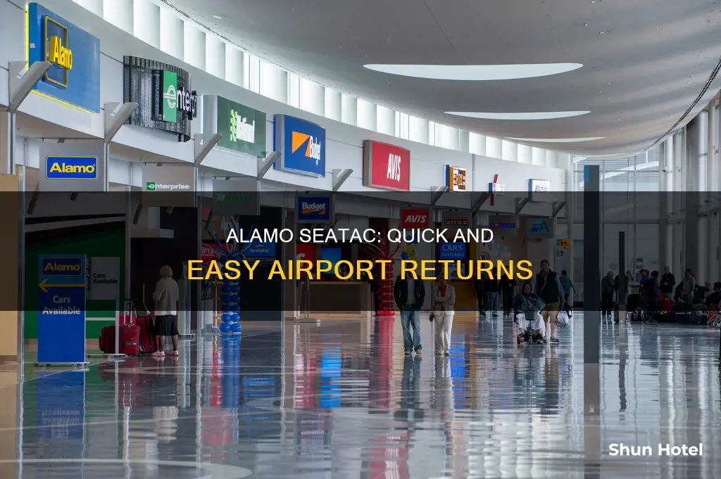 is alamo seatac return at airport