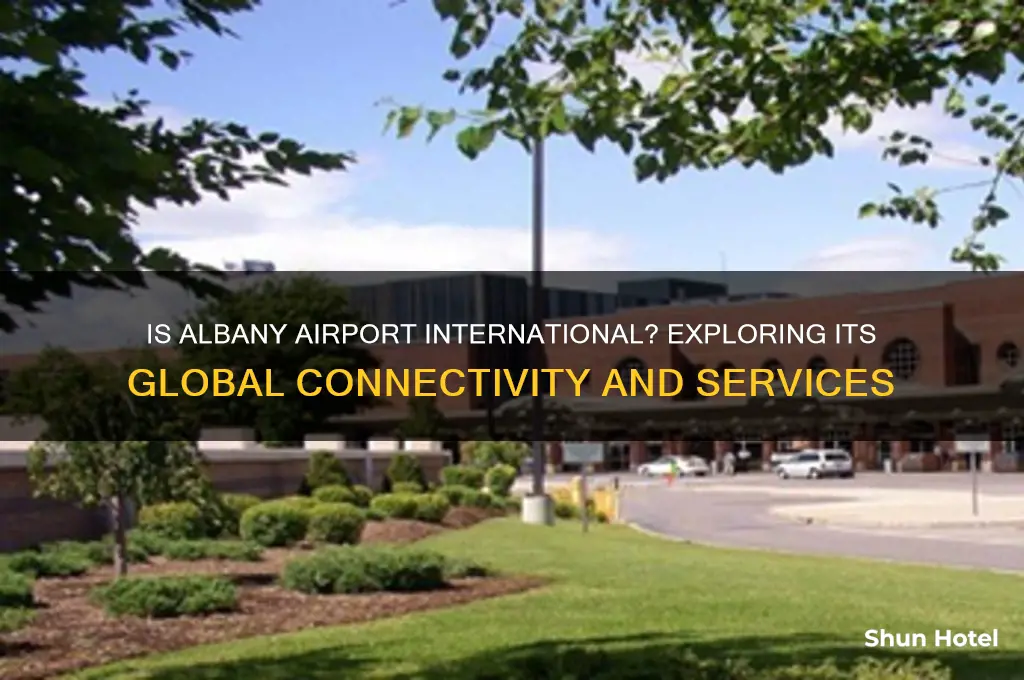 is albany airport international