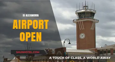 Is Alexandria Airport Open? Current Status and Travel Updates