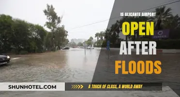 Alicante Airport Operational Status Post-Floods: What Travelers Need to Know