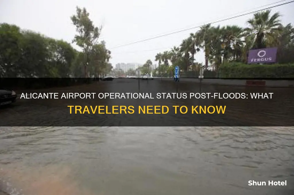 is alicante airport open after floods