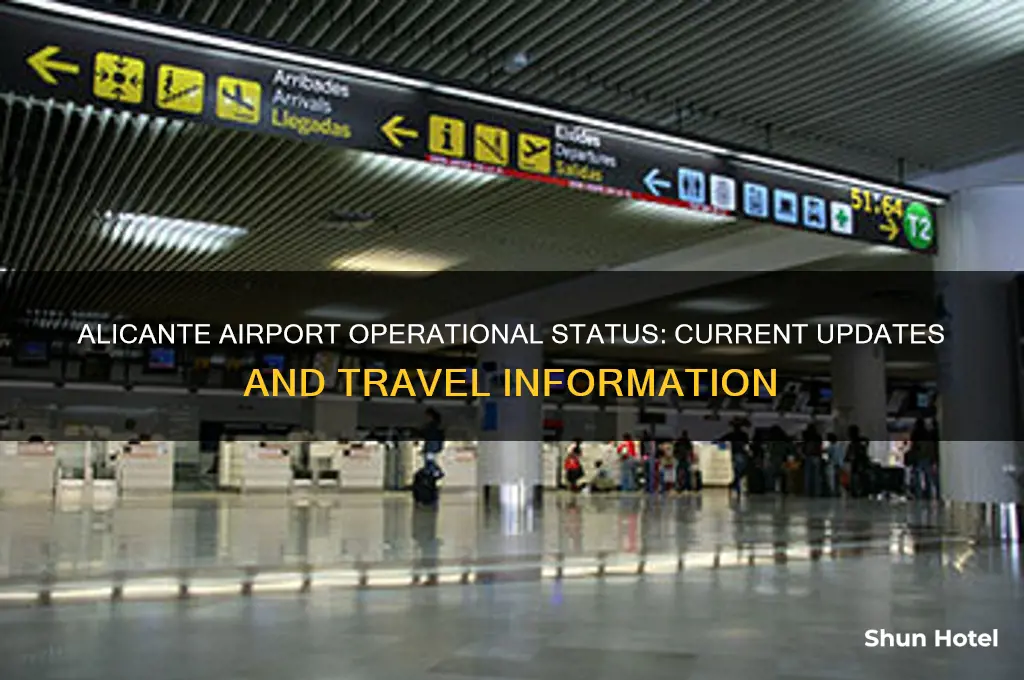 is alicante airport open