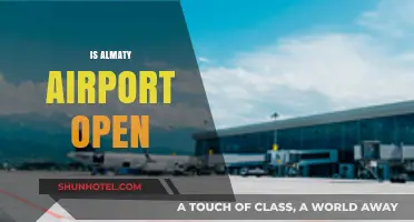Is Almaty Airport Open? Current Status and Travel Updates