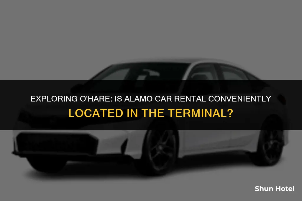 is almo car rental in terminal of ohare chicago airport